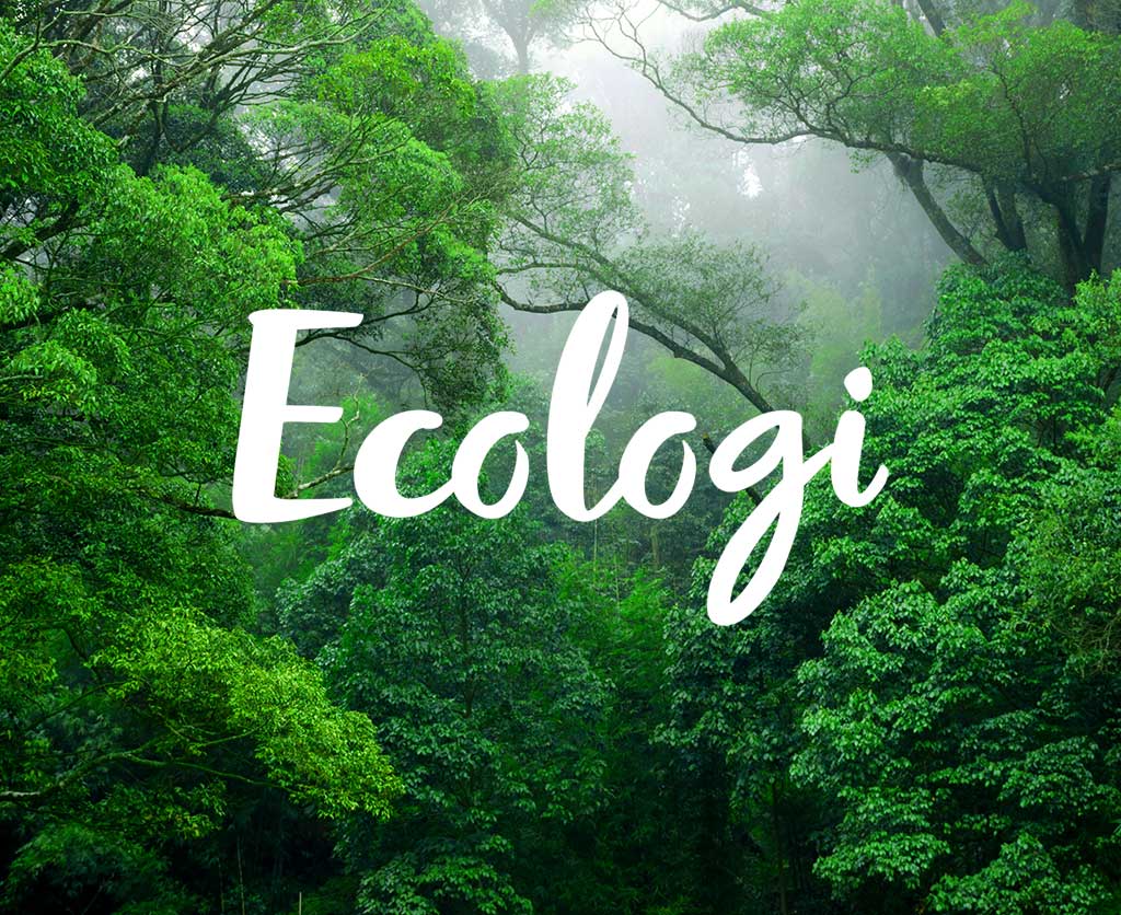 d-flo Limited in partnership with Ecologi